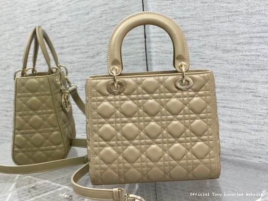 Tony Luxuries Gold Calfskin-24cm diro large Lady 0729
